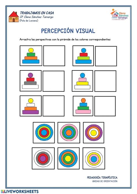 Ejercicio de Percepción visual | Ejercicios de percepcion, Actividades de percepción visual ...