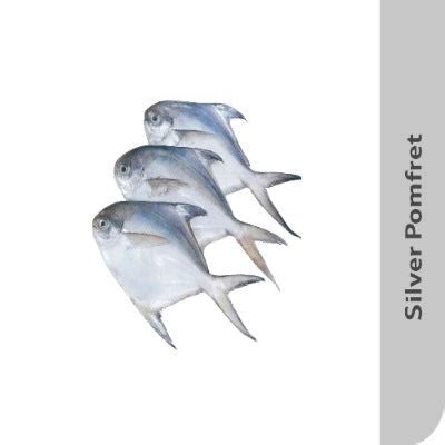 Starfresh Sea Water Silver Pomfret Cleaned 1 Kg (4 To 5 Pcs) – Starquik