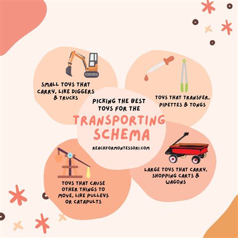 Transporting 的图像结果