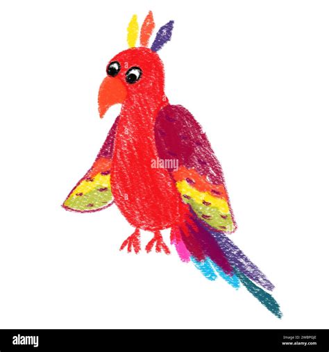 Image result for Simple Hand Drawn Parrot