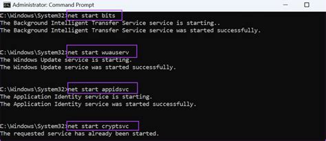 Background Intelligent Transfer Service 的图像结果