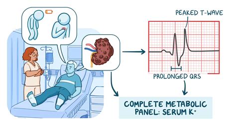 Image result for CMP Lab Panel