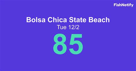 Bolsa Chica State Beach Fishing Forecast and Tides | Fishnotify