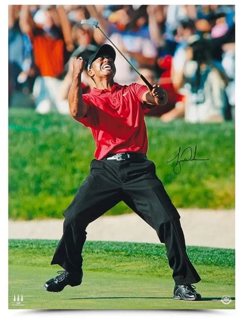 2008 US Open 的图像结果