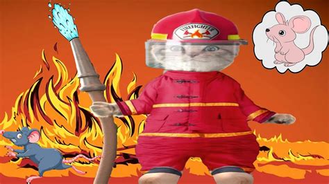 Cat Cartoons 的图像结果