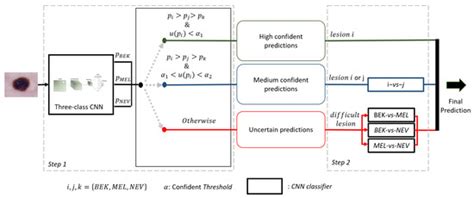Computer Aided Diagnosis of Melanoma Using Deep Neural Networks and ...