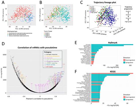 Functional Assessments of Gynecologic Cancer Models Highlight ...