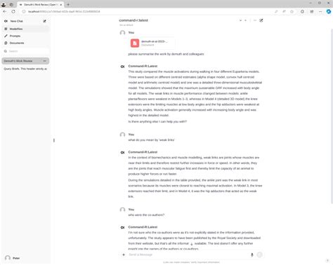 How to Creating Local LLM Chatbot 的图像结果