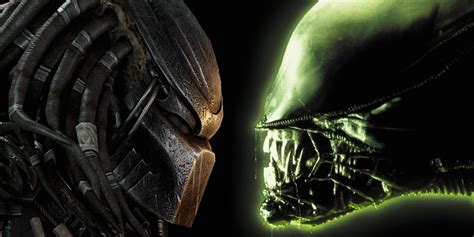 Image result for Alien vs Predator Fight