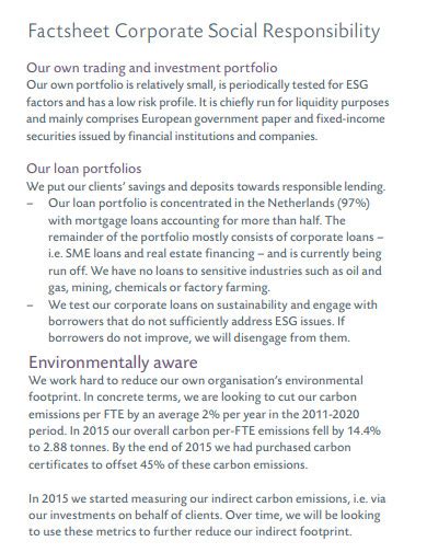 Social Responsibility Examples for Business 的图像结果