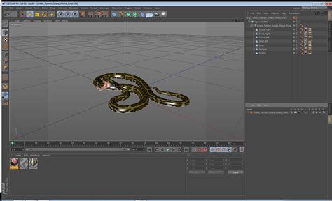 3D model Green Python Snake Attack Pose | 3D Molier International