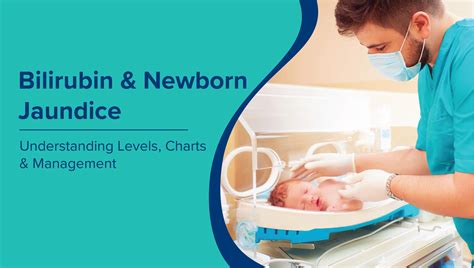 Bilirubin Test: Normal Ranges, Procedure & Result Interpretation ...