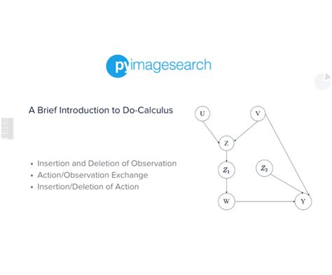 Image result for Do Calculus Examples