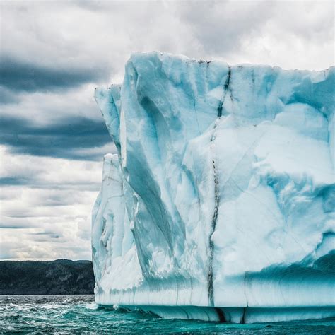 Meola India - Natural Skincare Solutions for Sensitive Skin