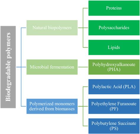 Image result for Biodegradable Polymers Examples