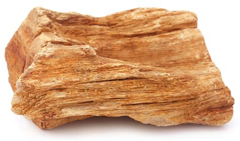 Sedimentary, Rocks, and Fossil Fuel 5th grade science - musink