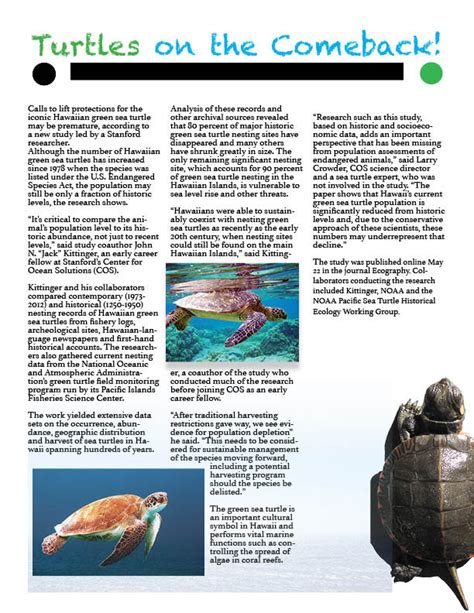 Image result for One Page Magazine Layout