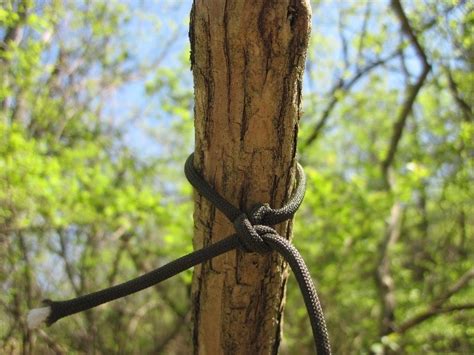 Image result for Spring Snare