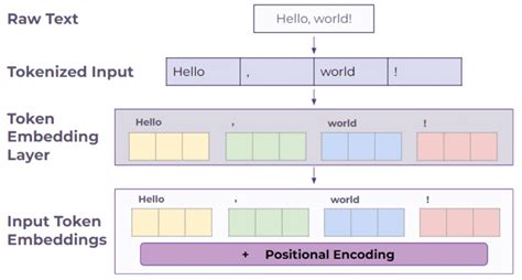 Image result for LLM Encoder/Decoder Example Text