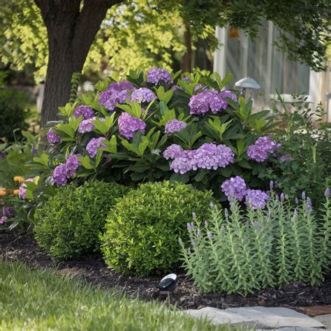 Deer & Rabbit Resistant List - Jared's Nursery