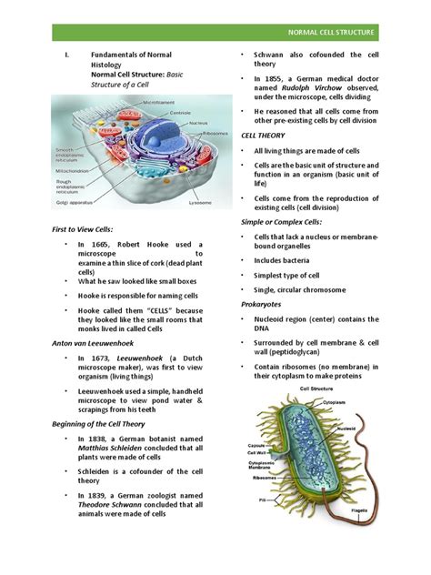 Normal Cell Structure 的图像结果
