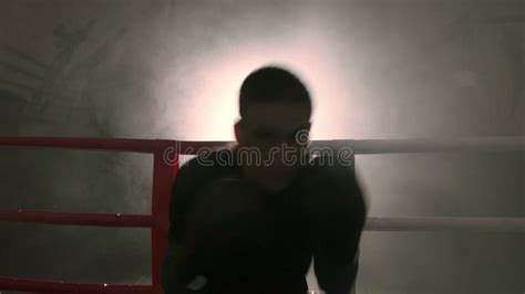 Boxer Boxing 的图像结果