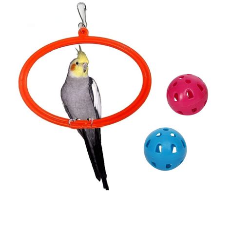 The Pets Company Bird Toys & Swings, Hanging Oval Rings for Love Bird ...