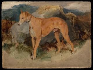 8 Best Hunting Dog Breeds for Indian Terrain and Climate