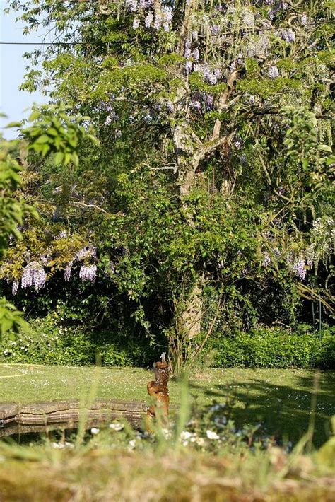 WYARDS FARM B&B (Alton, Hampshire) - B&B Reviews & Photos - Tripadvisor