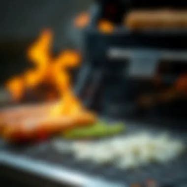 Image result for How to Degrease Grill