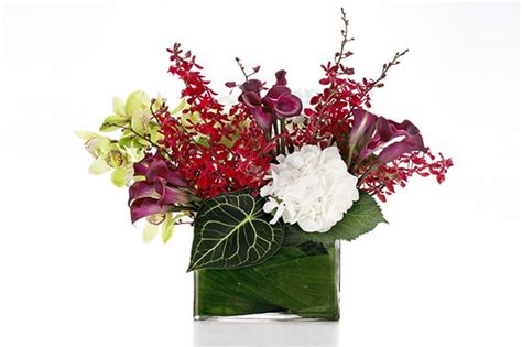 Introvigne Funeral Home Incorporated Stafford Springs, Connecticut