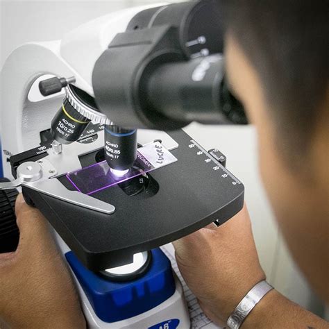 How to Make Microscope Parfocal 的图像结果