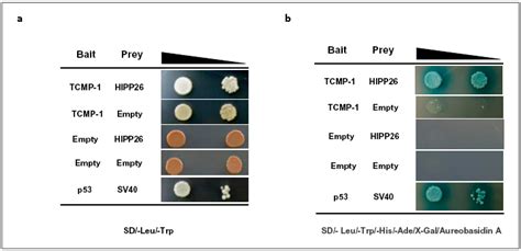 The Tomato Metallocarboxypeptidase Inhibitor I, which Interacts with a ...