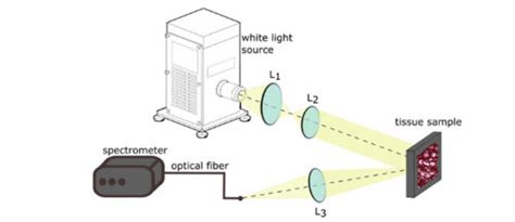 Image result for Diffuse Reflectance Spectroscopy