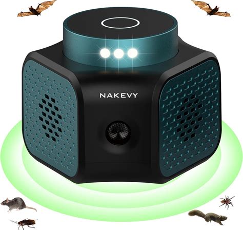 Best Squirrel Repellent