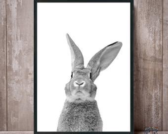 Buy Rabbit Print, Nursery Animal Wall Art, Woodlands Animals Print ...