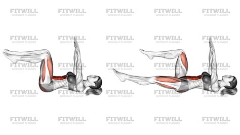 Image result for Dead Bug Exercise Benefits