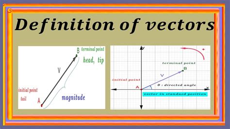 Image result for What Is Vector