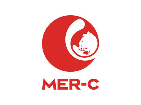 Image result for Computer Pictures with C Mer