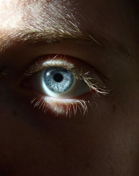 Image result for Genetics Pics