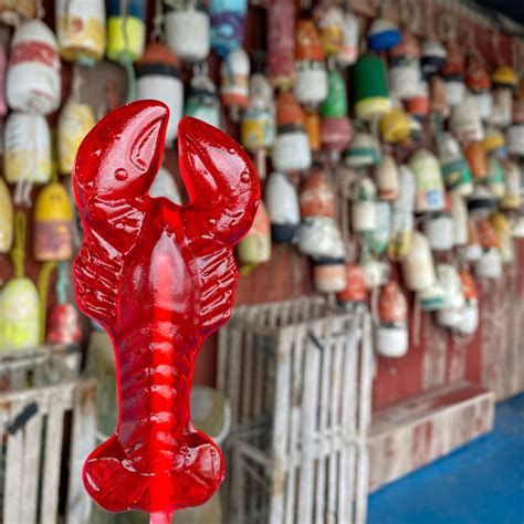 Cape Ann Olive Oil - Lobster Lollipop