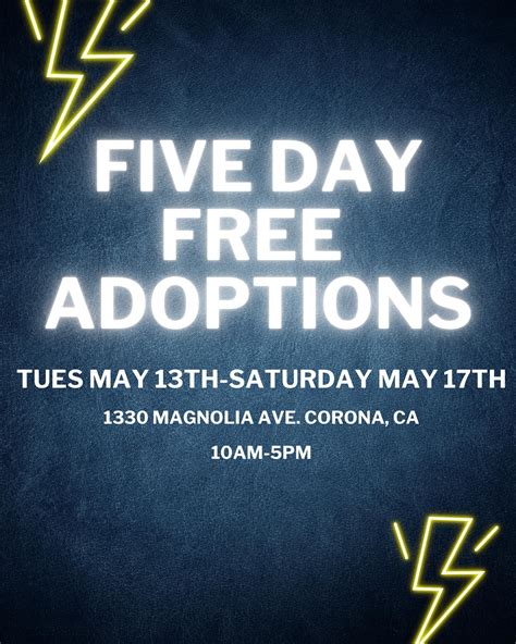 Corona Animal Shelter | This is what desperation looks like and what ...