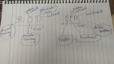In which of the following operant conditioning procedures the training ...