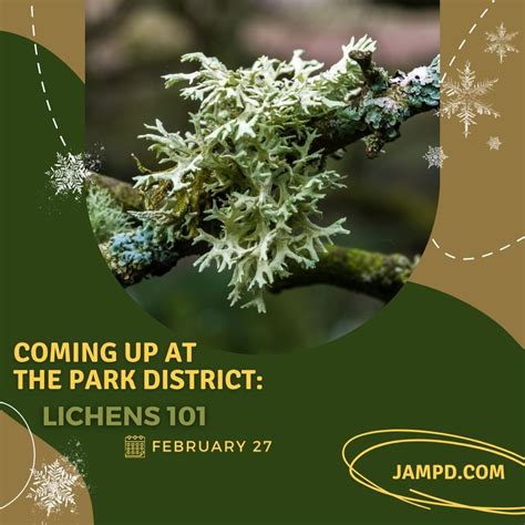 LICHENS 101, 2355 Ada Rd, Lima, OH 45801-3343, United States, February ...