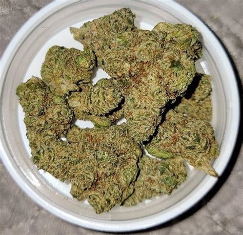 Image result for Alien Cheese Cracker