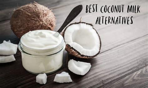Alternatives To Coconut Milk