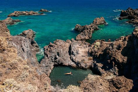 Vivir como sueñas en La Palma: 10 razones para viajar a la 'isla bonita ...