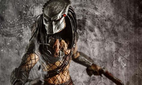 Image result for Predator Countdown Timer