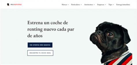 Image result for Divi Theme Examples