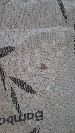 IFLAT BROOKFIELD TOWERS (Goiania, Brazil - GO) - Guesthouse Reviews ...